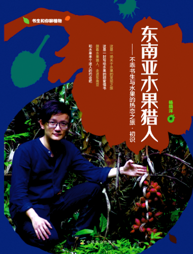 楊曉洋