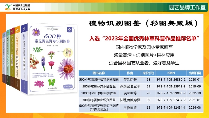 幻燈片15