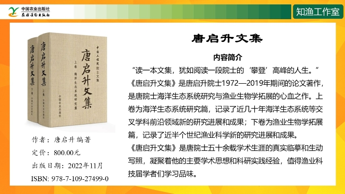幻燈片10