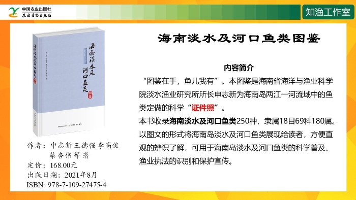 幻燈片13