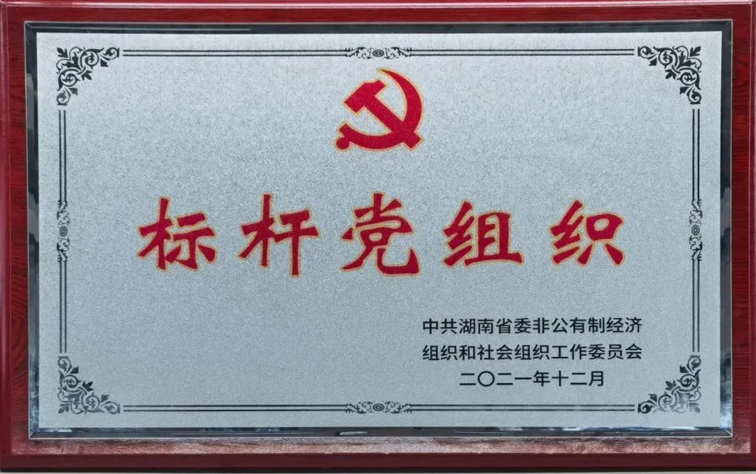 黨建品牌亮起來！山河智能黨委獲評“標桿黨組織”
