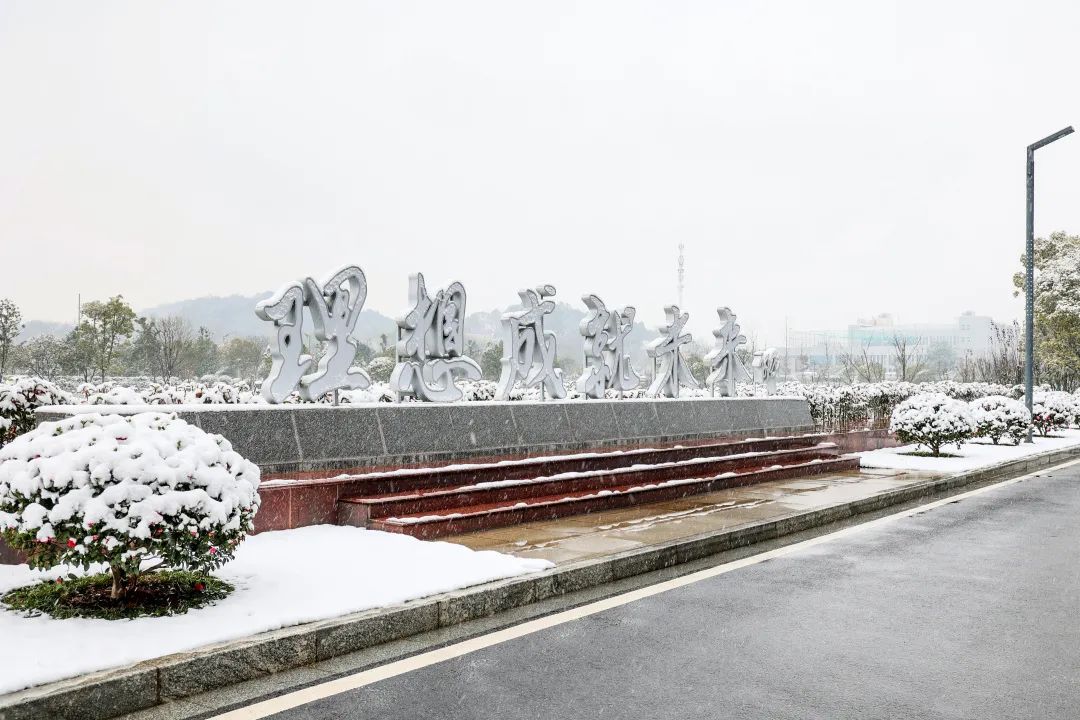 瑞雪兆豐年，邀您共賞雪中山河！