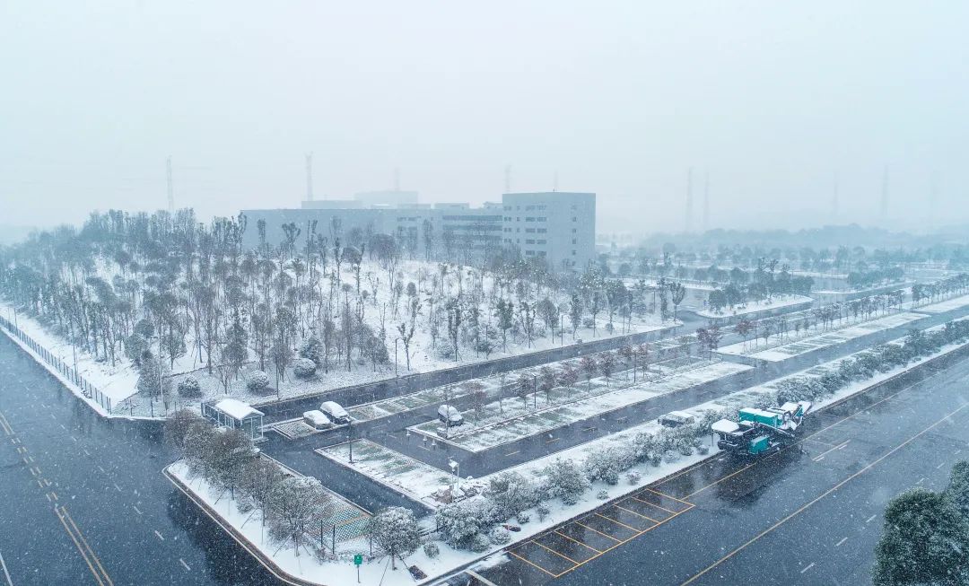 瑞雪兆豐年，邀您共賞雪中山河！